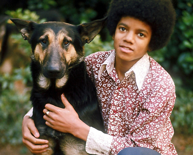 Michael_Jackson_Wallpaper_3_by_NMUSER100 - Poze Michael Jackson k animale