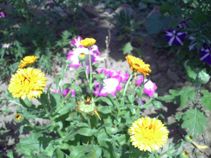 PICT0062