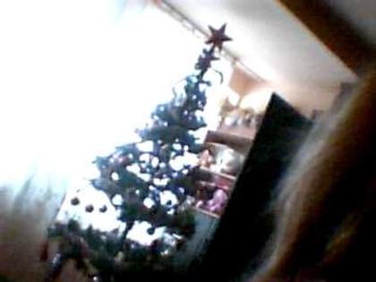 Picture 1257 - daalina