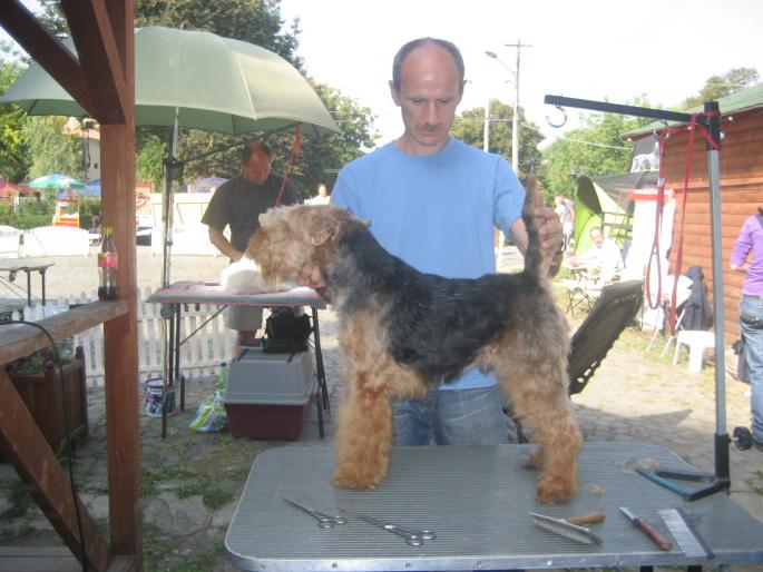 IMG_3312 - EXPO Tg Mures 2008