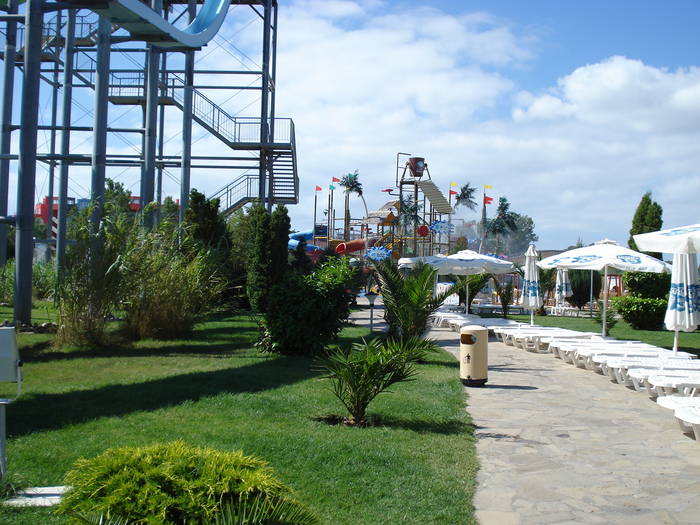 DSC03104