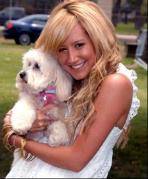 EUKPPSPBMUPSJPJMLRQ - high school musical toate pozele