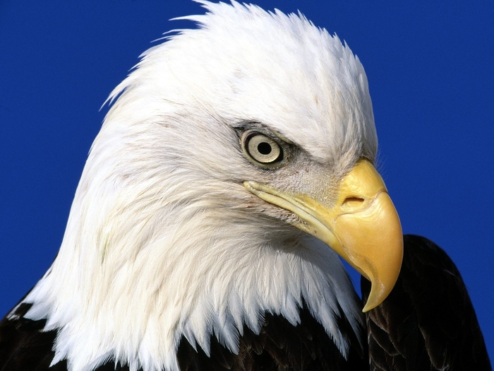 185