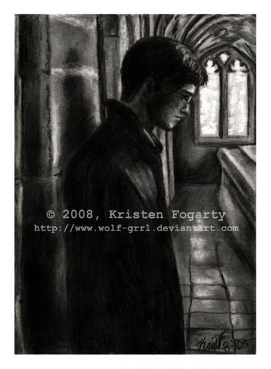 harry-potter-and-the-half-blood-prince-kristen-fogarty - Harry Potter