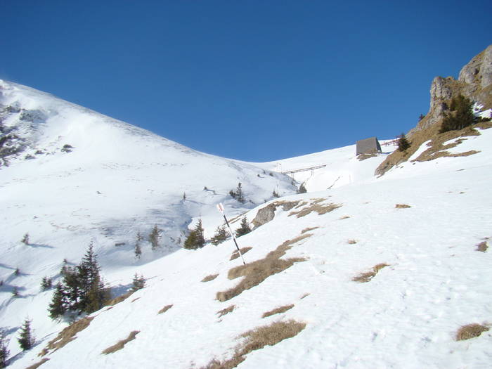 DSC01130 - Bucegi - Valea Izvorul Dorului-Padina