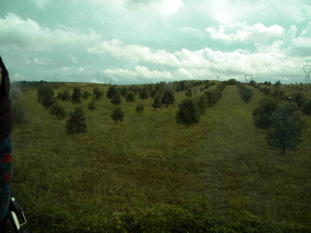DSCN1673