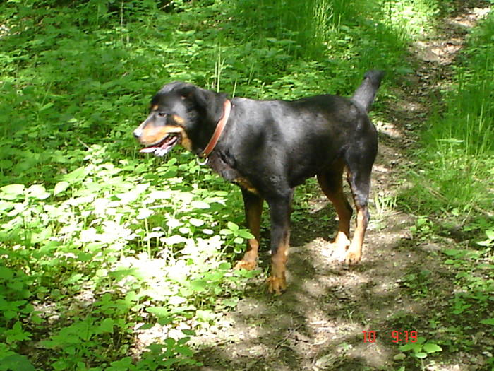 DSC04887 - BELLA poze noi