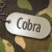Cobra - POze Nume