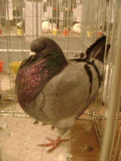DSC08076