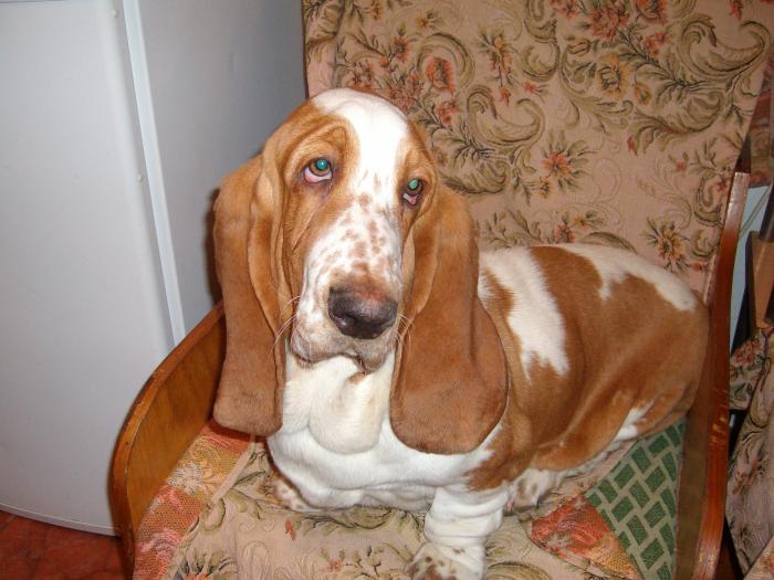 I KNOW THAT I; Ei da! Ce sa fac? Sunt intr-adevar superba!
