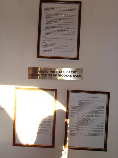 DSC05558 - poze Ianuarie 2009