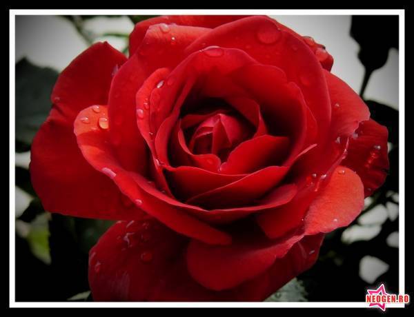 847100df_0010000402783_00_600