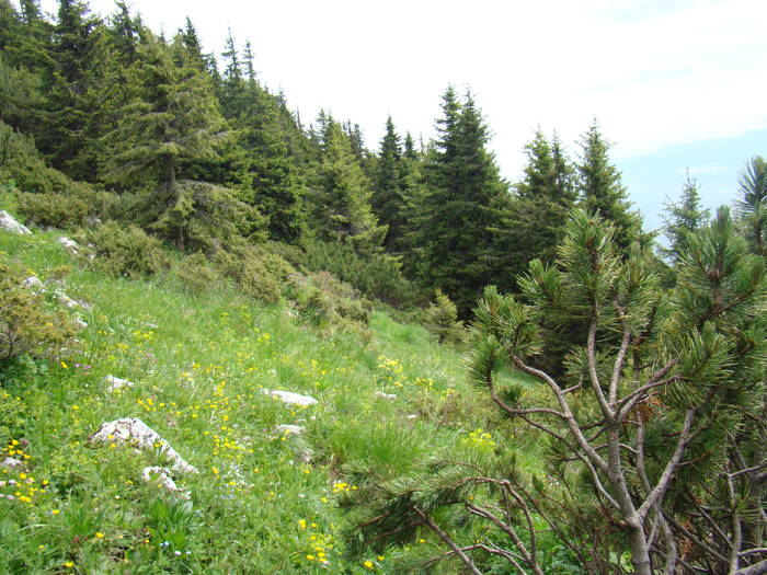 DSC03781 - Concediu 2009