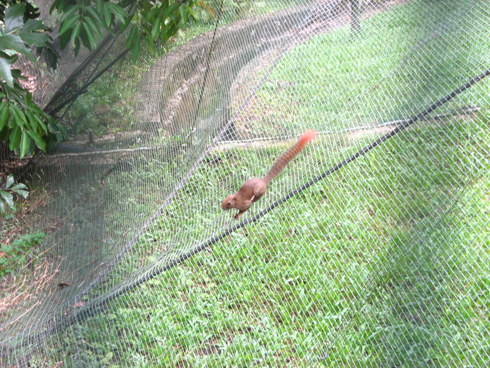 IMG_0270 - 2_1 - Kuala Lumpur Bird Park