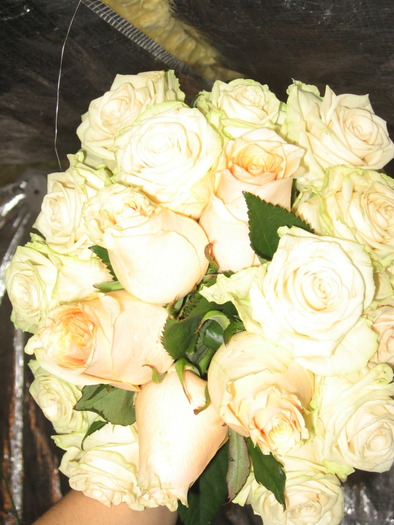 IMG_3088 - Aranjamente FLORALE