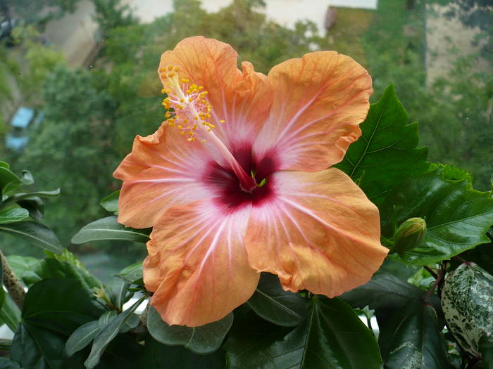 P1140386