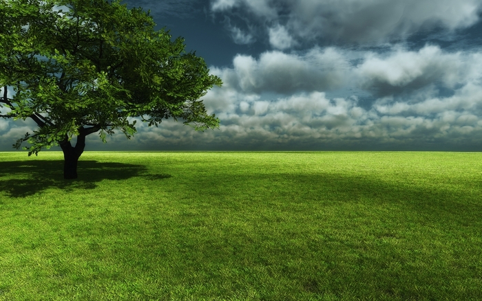 Endless-Green - 171 - Nature Wallpapers