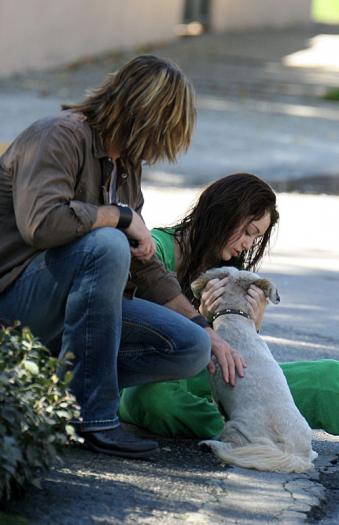 miley-cyrus-stray-dog-2278-8