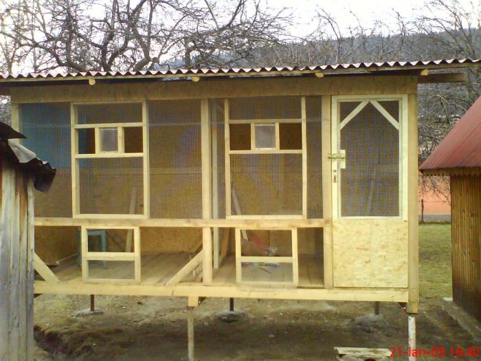 in constructie - Compartiment Pui