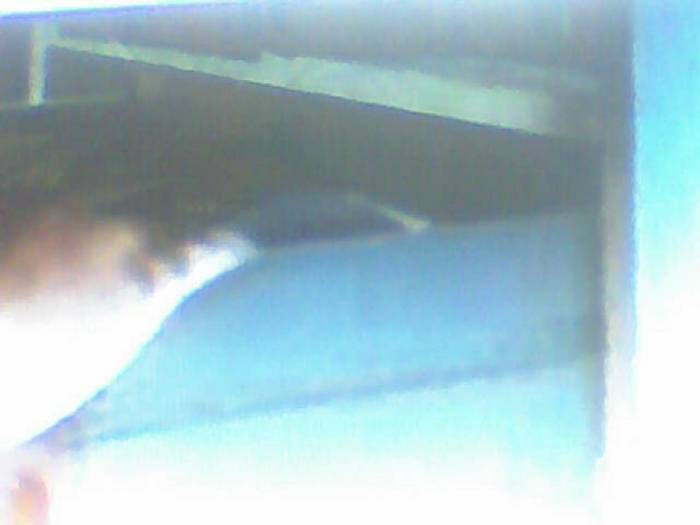 snapshot-417 - Sora lui Cleo Kim