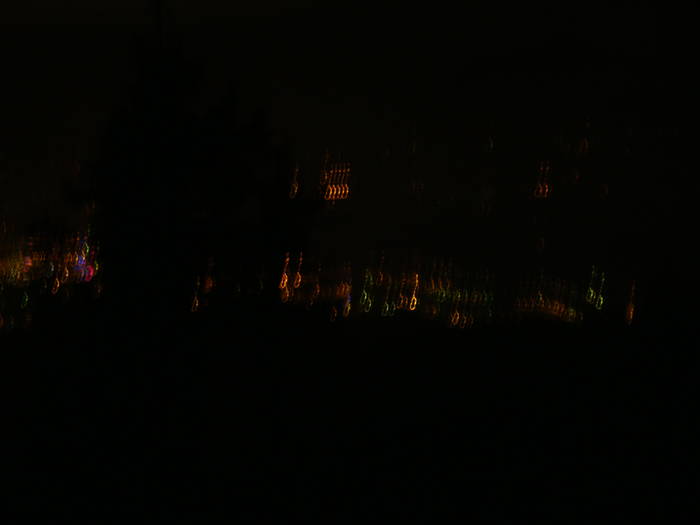 DSC00419