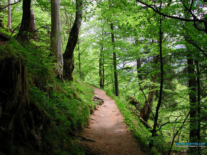 peisaj65 - peisaje natura