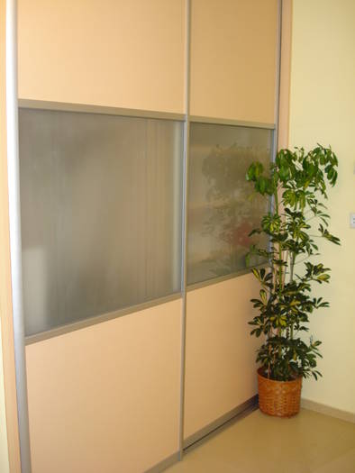 Schefflera