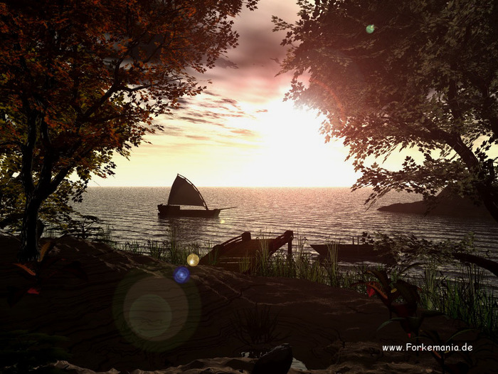 Coming Home - 0-Rasarituri_apusuri