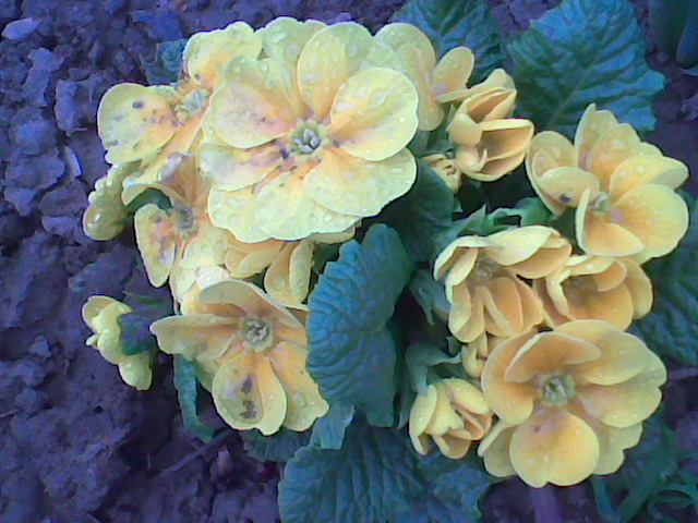 Imag025