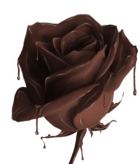 chocolate_rose_86193223