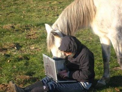 poze-animale-amuzante-cai-alb-laptop - cai