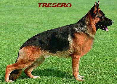 Tresero