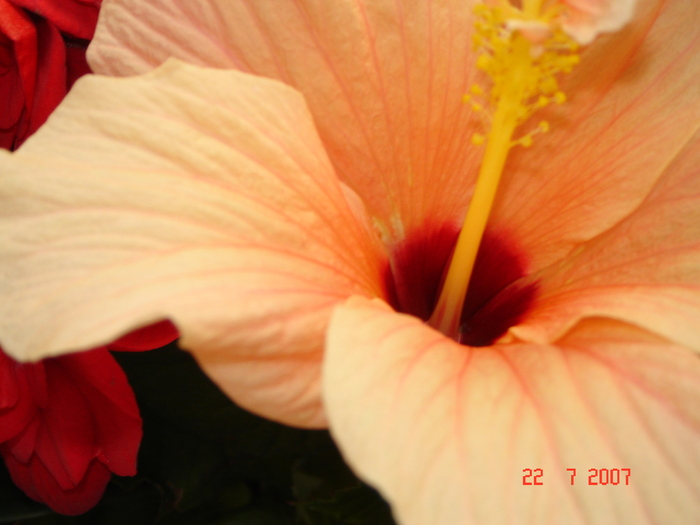 DSC01395