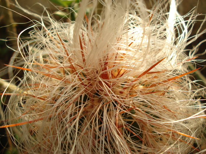 DSC09563