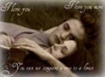 Edward & Bella - Twilight- New Moon- Eclipse- Breaking Dawn