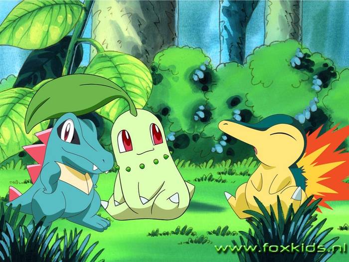 totodile_chikorita_cyndaquil[1]