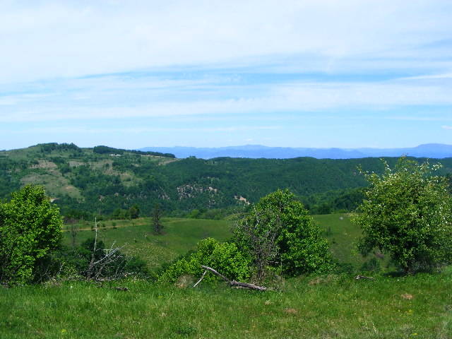 DSCF0549