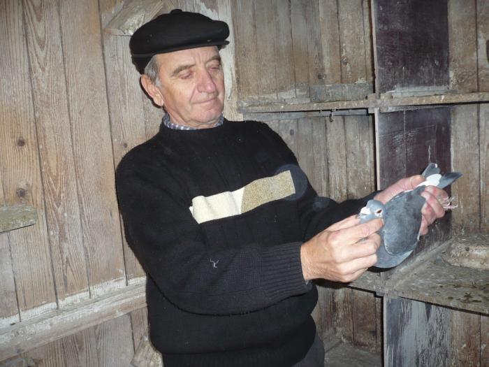 manea ion; manea ion
