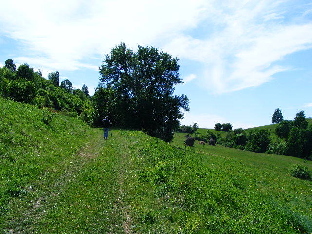 DSCF0611