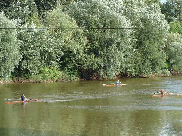 Memorial Sorin Lobont Editia a IX a (2008)