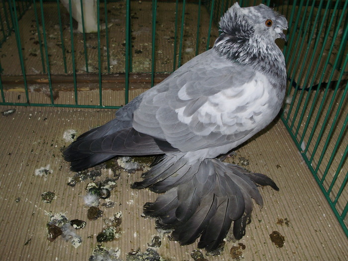 9693 tg 0 - 1507 partea 4