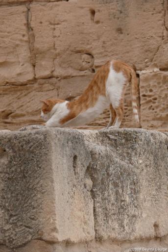 Tunisia_289 - Tunisia