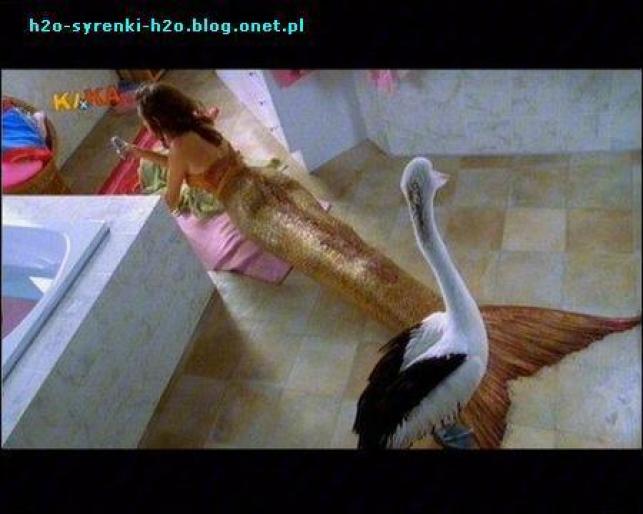 nu prea stiu cleo.. - pheobe tonkin