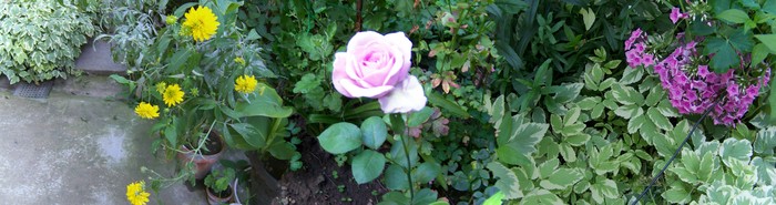 100_7812 - Iulie 2
