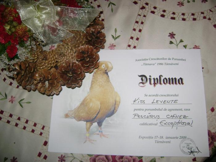 DSC05590 - DIPLOMA si PUNCTAJELE OBTINUTE