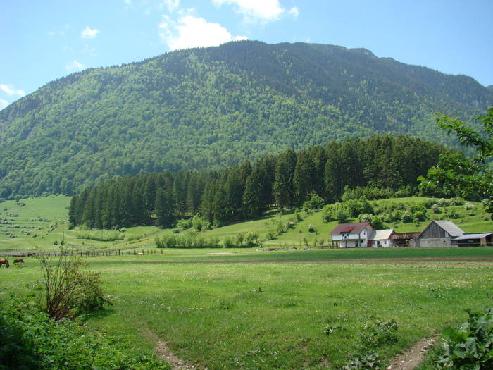 DSC03121 - Piatra Craiului MAI