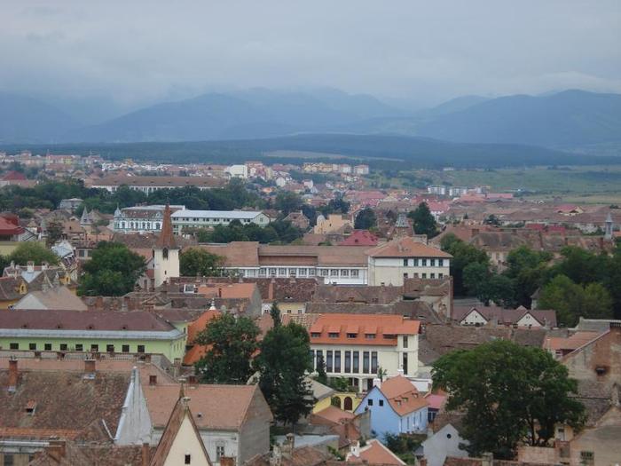 DSC02327 - Sibiu