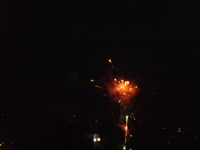 PB210290 - REVELION 2010