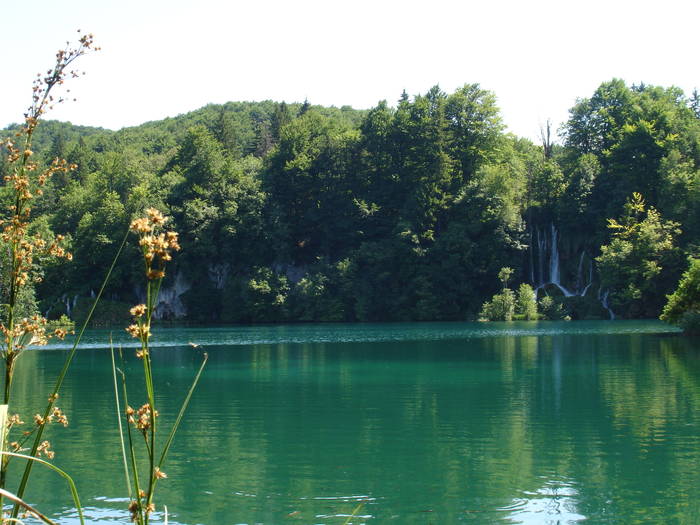 DSC03650 - Parcul Plitvice din Croatia