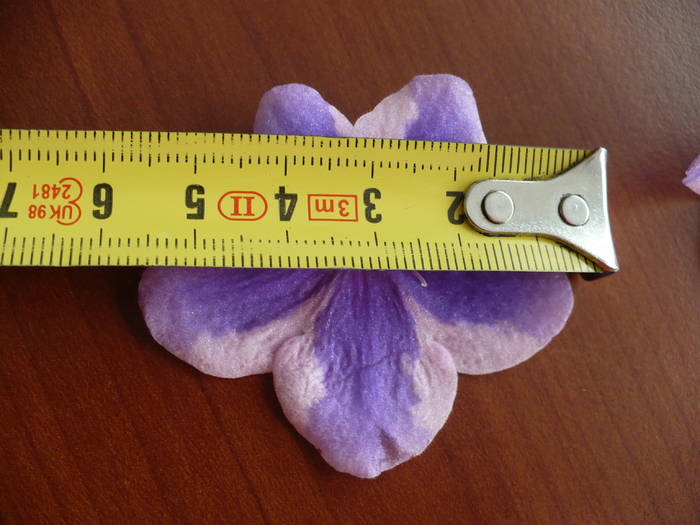 P1120777 - Saintpaulia - violete de camera